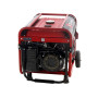 Генератор Einhell TC-PG 3500