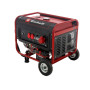 Генератор Einhell TC-PG 3500