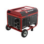 Генератор Einhell TC-PG 3500